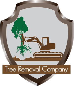 Logo Design by okumupall
