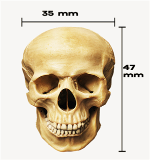 Graphic Design by iMAGICations for this project | Design: #6584783