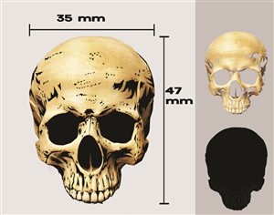 Graphic Design by iMAGICations for this project | Design: #6616989