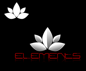 Logo-Design von Archeopteryx für Elements Experience | Design: #1709881