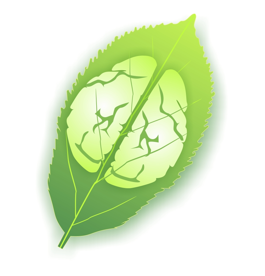 Logo Design by zip for this project | Design #1711558