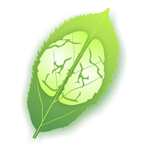 Logo Design by zip for this project | Design: #1711558