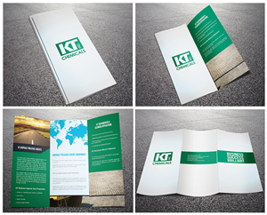 Brochure Design by phoenixmedias for this project | Design #6619219