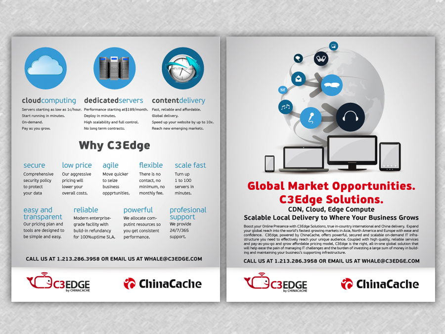 Flyer-Design von Alaya für dieses Projekt | Design #1742490