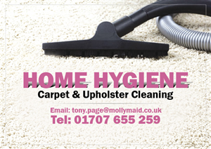 Flyer Design by Arun for Home Hygiene | Design: #6547603