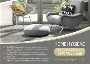 Flyer Design by leuchi for Home Hygiene | Design: #6538531