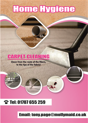 Flyer Design by Hoho Media Agency for Home Hygiene | Design #6573599