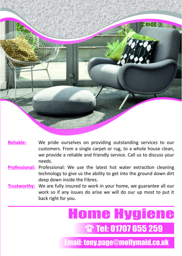 Flyer Design by Hoho Media Agency for Home Hygiene | Design #6573619