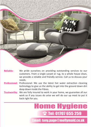 Flyer Design by Hoho Media Agency for Home Hygiene | Design: #6573619
