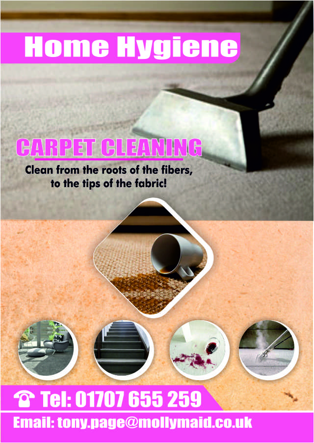Flyer Design by Hoho Media Agency for Home Hygiene | Design #6573827