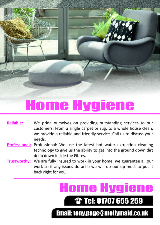 Design de Flyer par Hoho Media Agency pour Home Hygiene | Design #6573854