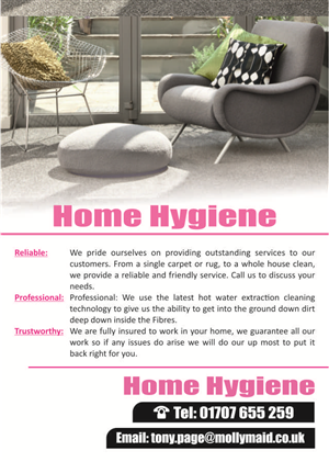Flyer Design by Hoho Media Agency for Home Hygiene | Design: #6573854