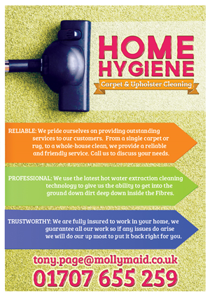 house cleaning flyer examples
