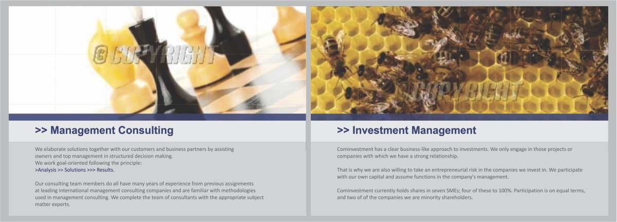 Brochure Design by barinix for Cominvestment AG | Design #1719800