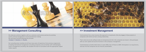Brochure Design by barinix for Cominvestment AG | Design: #1719800