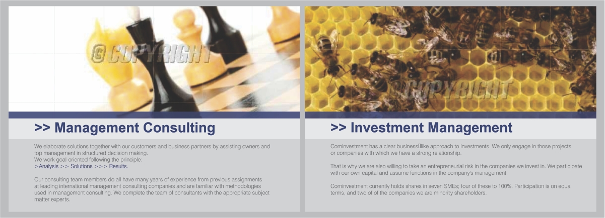 Brochure Design by barinix for Cominvestment AG | Design #1720121