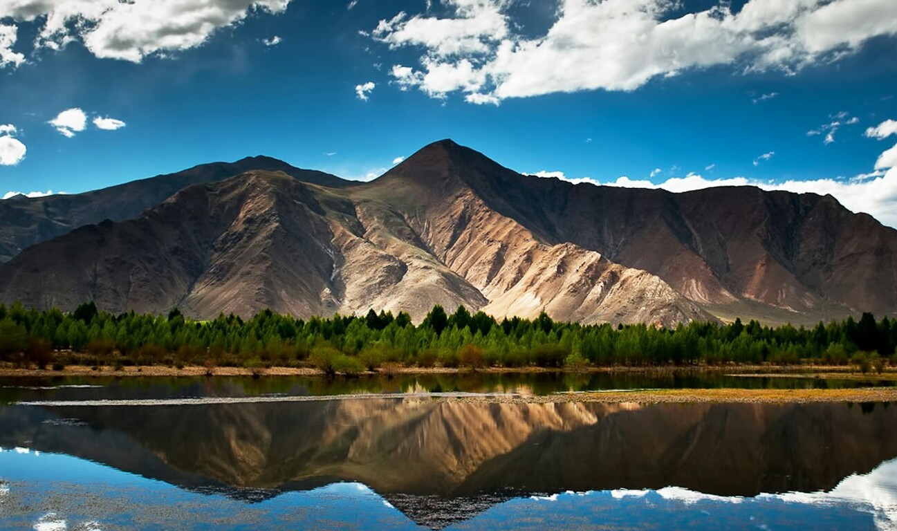 Logo-Design von rengised für dieses Projekt | Design #1708606