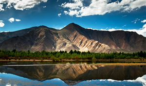 Logo Design by rengised for this project | Design: #1708606