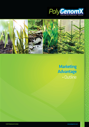 Brochure Design by C23design Company
