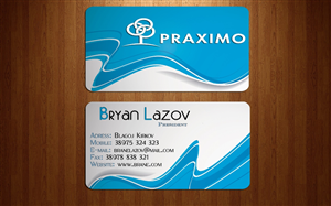 Business Card Design by Brankac for this project | Design: #1712841
