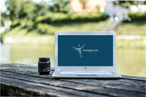 Logo Design by Anja K for Luminoir & Luminous Life | Design: #6565528