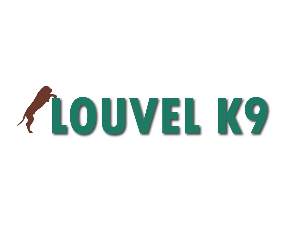 Diseño de Logo por lpgiraud para este proyecto | Diseño #1712095