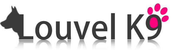 Logo Design by Agile Invention for this project | Design #1719127