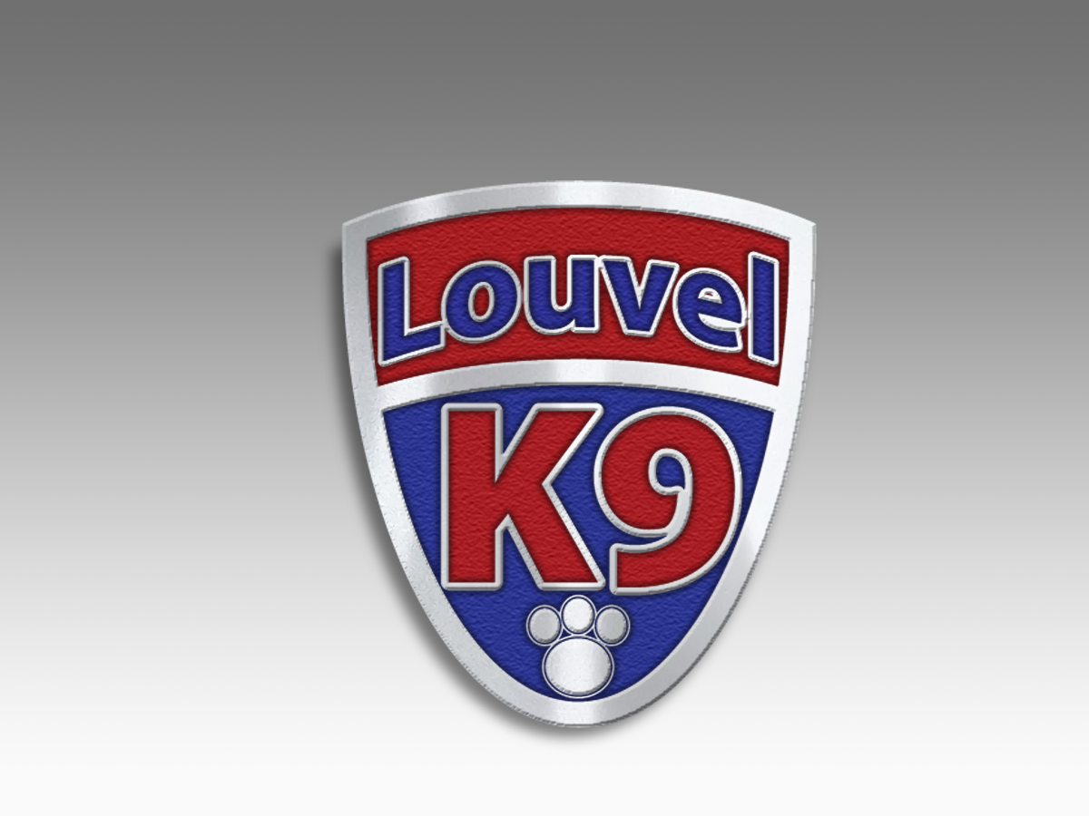 Logo Design by JakeCreation for this project | Design #1713365