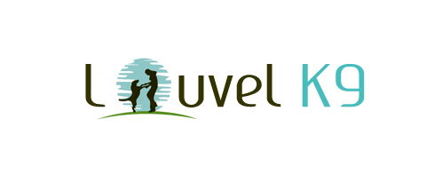 Logo Design by RAMAN4U13 for this project | Design #1710654