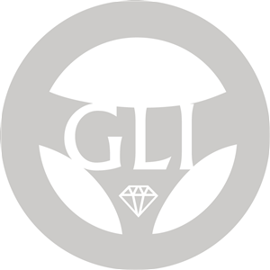 Logo Design by Sarah L for Seriously Automotive Group | Design: #1749452