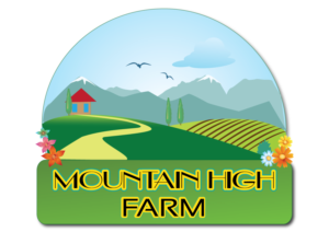 Logo Design by Lavinia