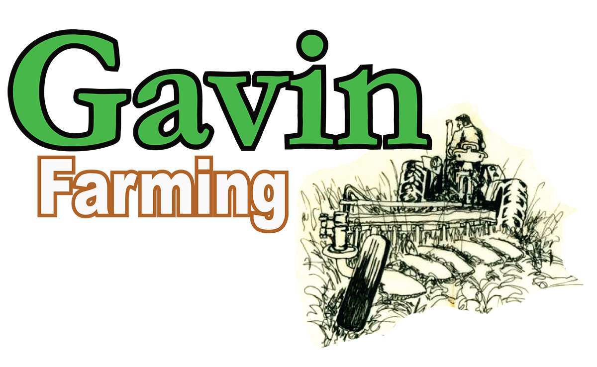 Diseño de Logo por hscrowl para este proyecto | Diseño #6635768