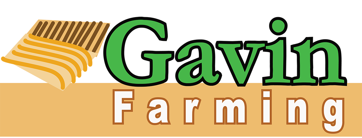 Diseño de Logo por hscrowl para este proyecto | Diseño #6635771