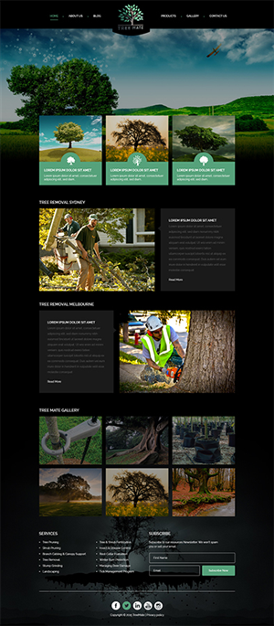 Web Design by TheCodeWire for this project | Design: #6592397