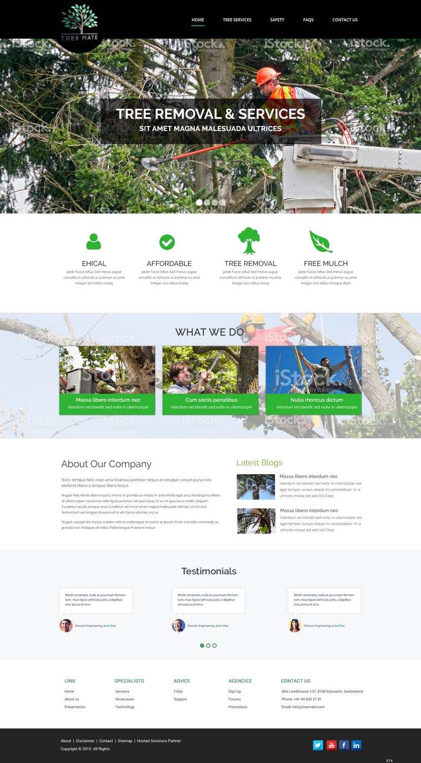Diseño Web por pb para este proyecto | Diseño #6593820