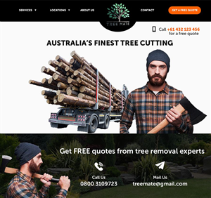 Web Design by Teemu Hakala