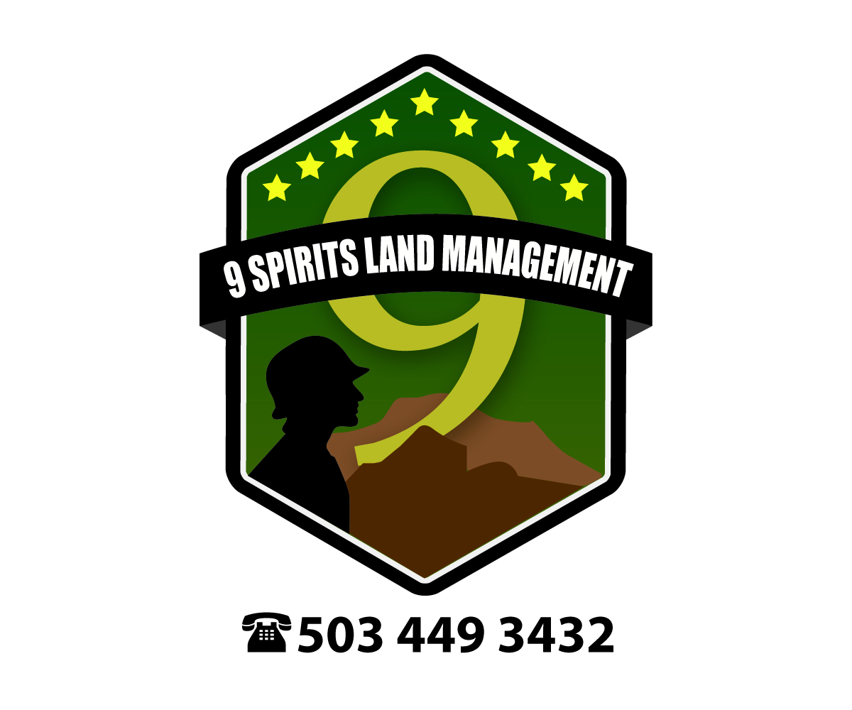 Logo Design by freakmyx for 9 Spirits landmanagement  | Design #6569026