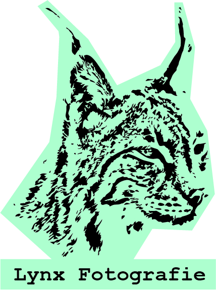 Diseño de Logo por Ana_Cats para Vandenbergh Project Management | Diseño #6567961