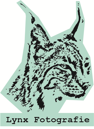 Design de Logo par Ana_Cats pour Vandenbergh Project Management | Design #6567961