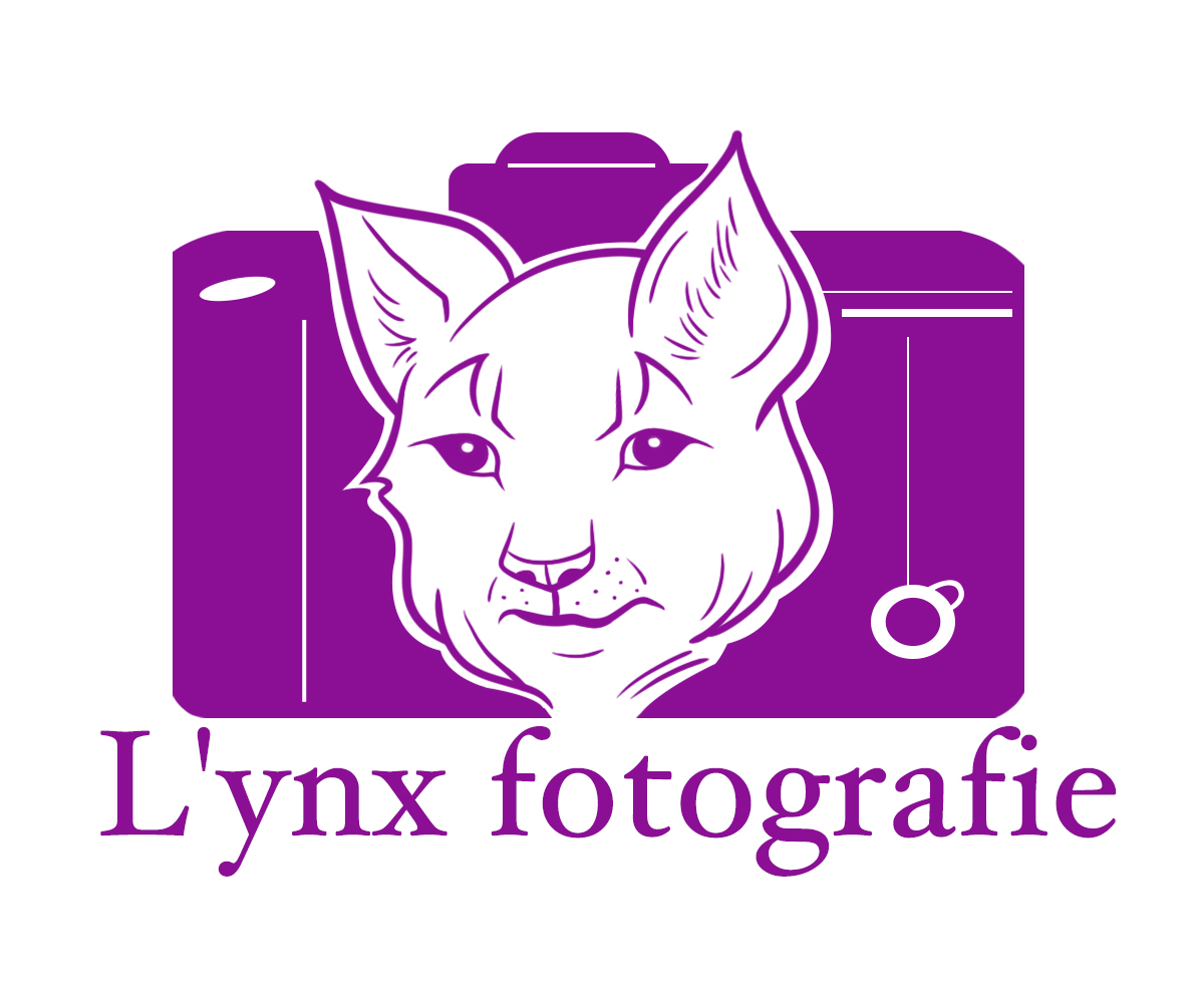 Logo Design by DYNAKID for Vandenbergh Project Management | Design #6554228