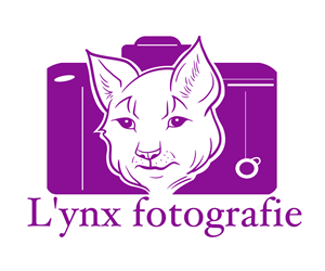 Design de Logo par DYNAKID pour Vandenbergh Project Management | Design #6554228