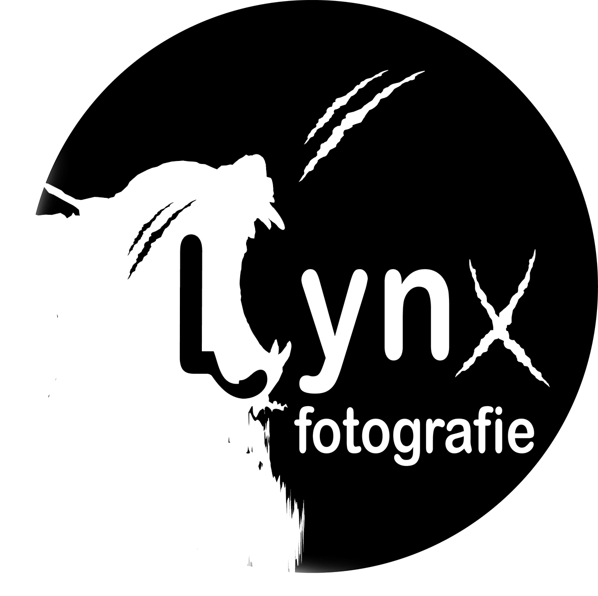 Logo Design by Janaka CK for Vandenbergh Project Management | Design #6563520