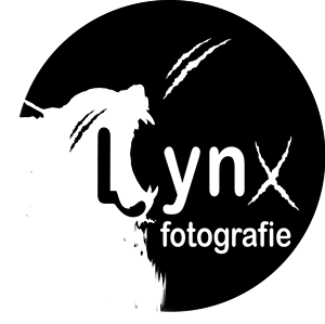 Logo Design by Janaka CK for Vandenbergh Project Management | Design: #6563520