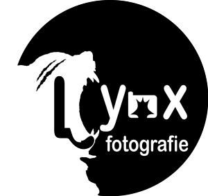 Logo Design by Janaka CK for Vandenbergh Project Management | Design: #6563526