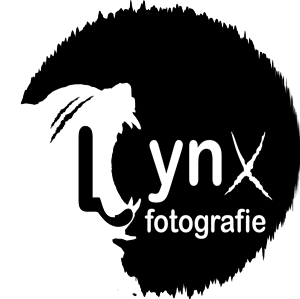 Logo Design by Janaka CK for Vandenbergh Project Management | Design: #6563529