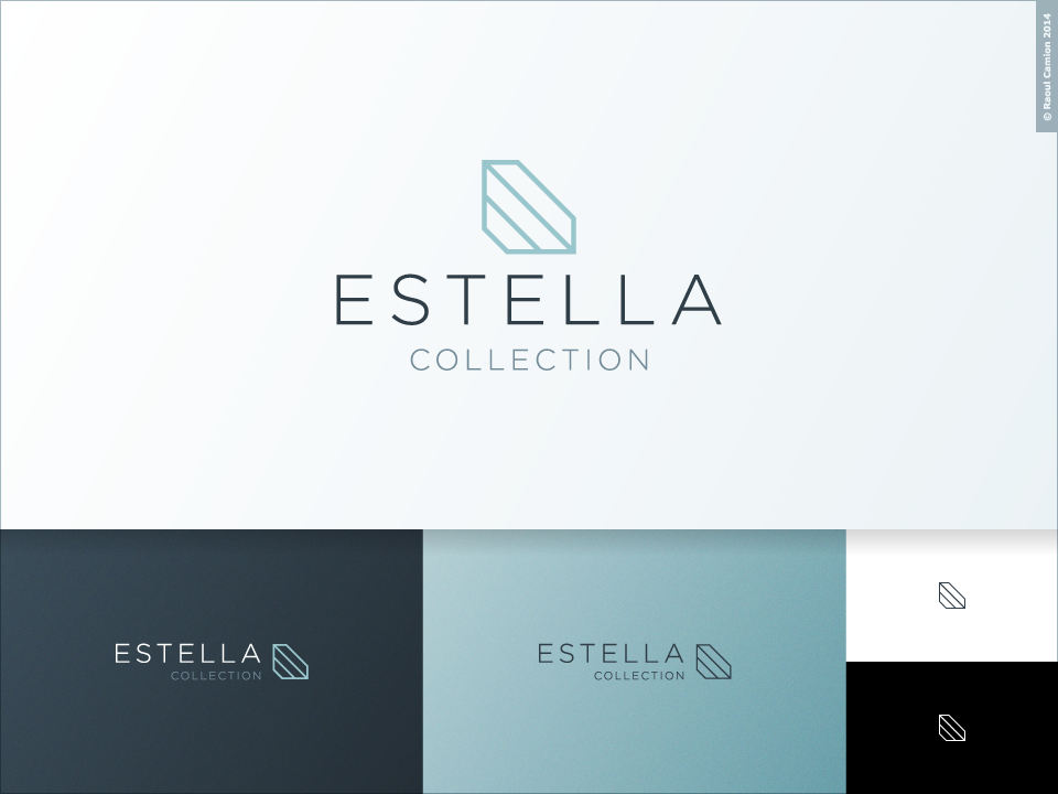 Logo Design by Raoul Camion for this project | Design #6583923