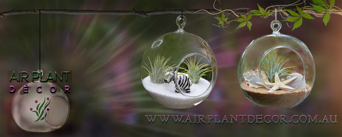 Facebook Design by Silkstiletto for this project | Design #6597348