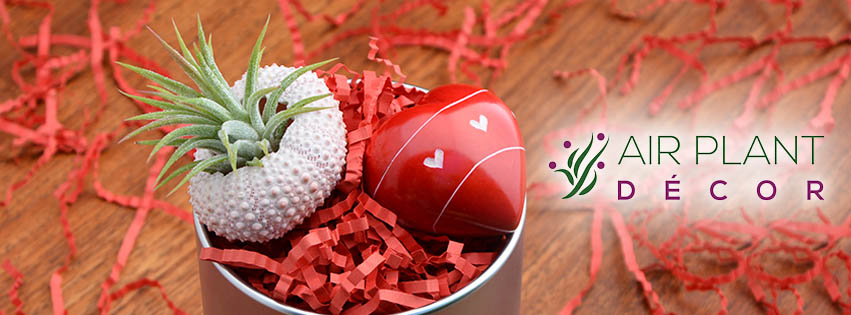 Facebook Design by Souvik Roy (Alex Pro) for this project | Design #6559022