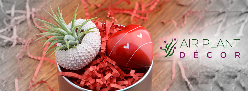 Facebook Design by Souvik Roy (Alex Pro) for this project | Design #6559029