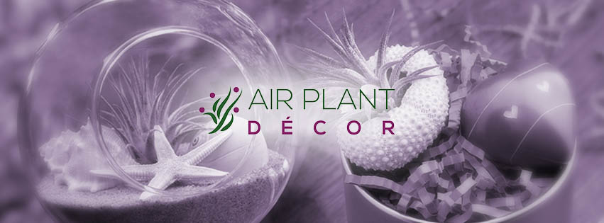 Facebook Design by Souvik Roy (Alex Pro) for this project | Design #6559097